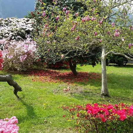 Casa Delle Rose 2 *